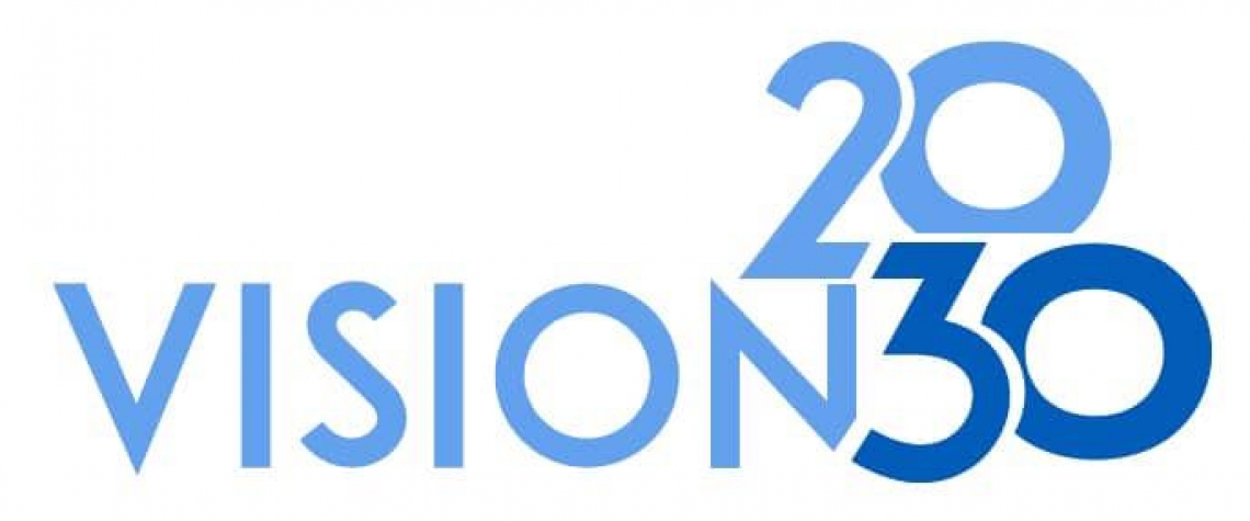 VISION 2030 (Spanish)